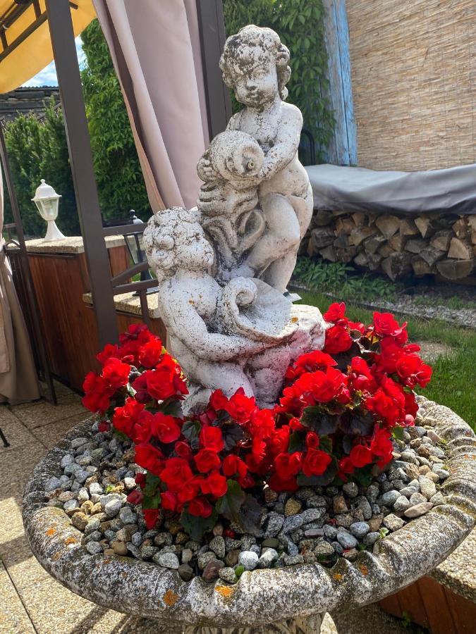 Penzion Vila Petra Bed&Breakfast Вельки-Славков Екстер'єр фото