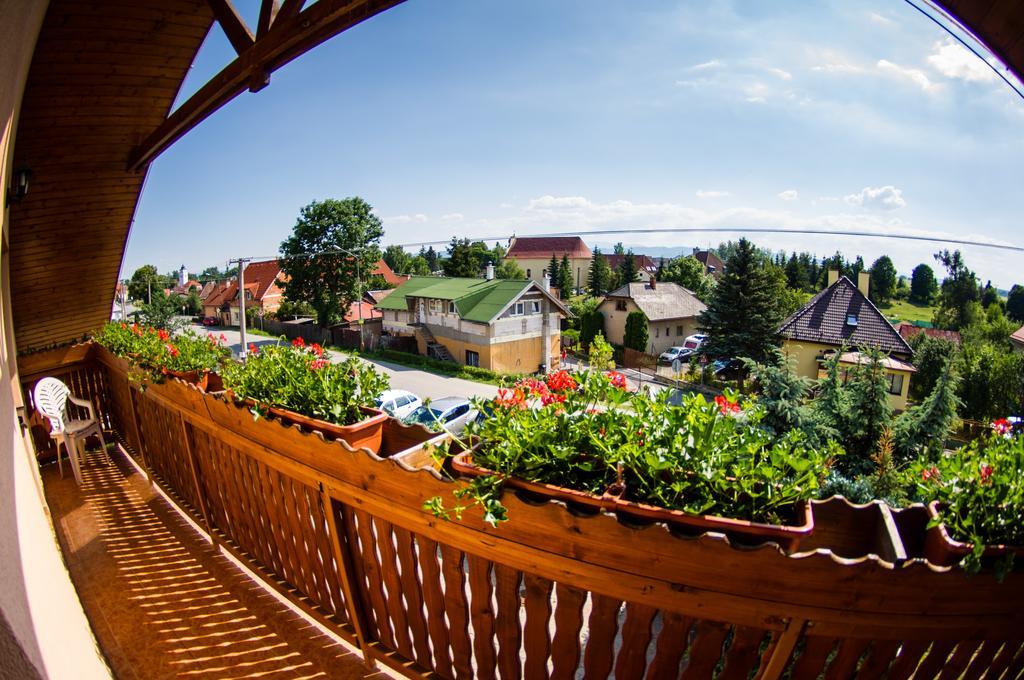 Penzion Vila Petra Bed&Breakfast Вельки-Славков Екстер'єр фото